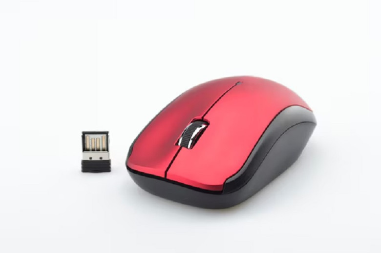 3. Mouse